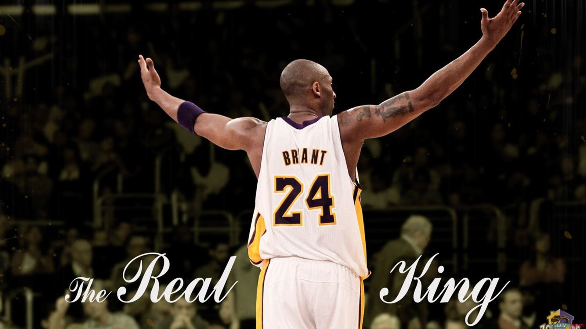 伊布主宰比赛走向，葡萄牙决胜局带走尼斯